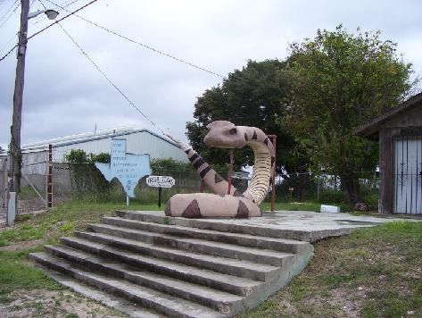 largest rattlesnake